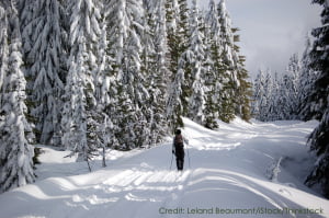 Take Advantage of Winter