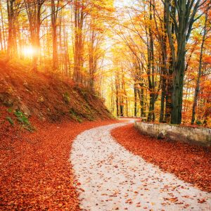 how to thrive in shoulder season