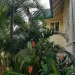 Greenery outside of Old Wailuku