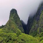 Greenery in Maui