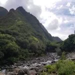 Maui Mountain greenery