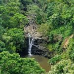 Overview of Maui waterfall