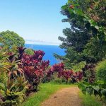 View of Maui landscape