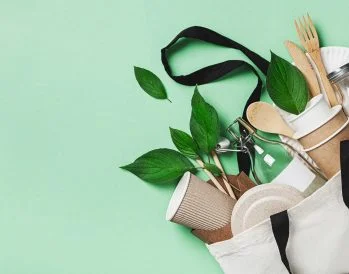 sustainable travel tips