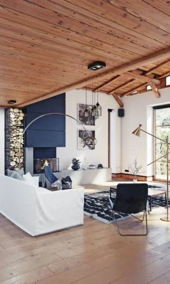 interior of a modern mountain vacation home